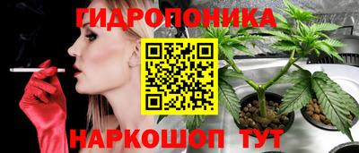 гидра Нальчик
