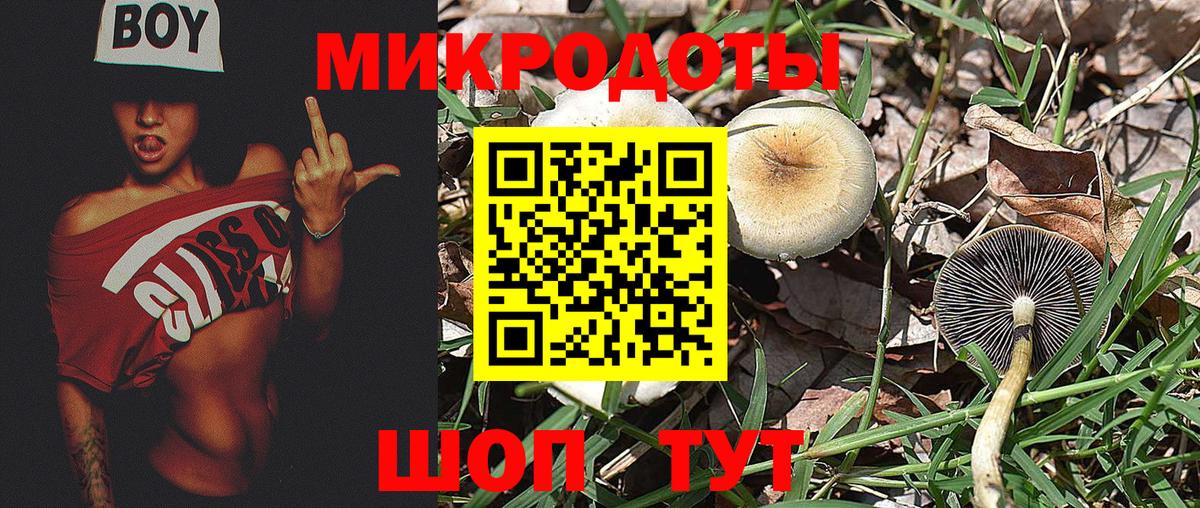 Галлюциногенные грибы ЛСД  Псилоцибиновые грибы мицелий  Вход с VPN  Ростов Великий 