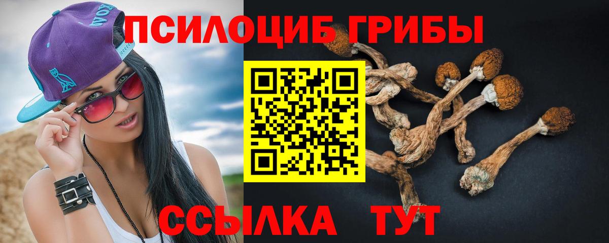 Псилоцибиновые грибы Psilocybe Ростов Великий